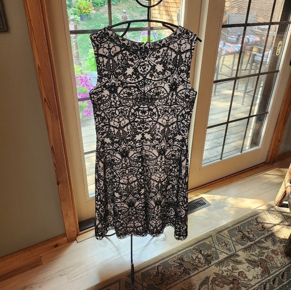 Tadashi Shoji Lacey Rayon Lined Sleeveless Sz. 12 Dress - Picture 9 of 11